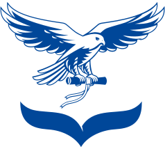 Рубцовский институт